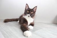 Chloe